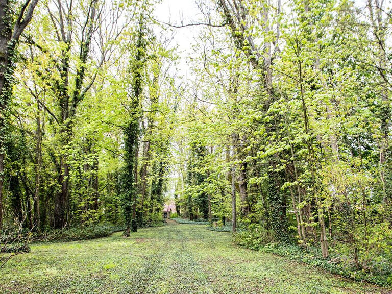 Vente Propriété Arc-sur-Tille