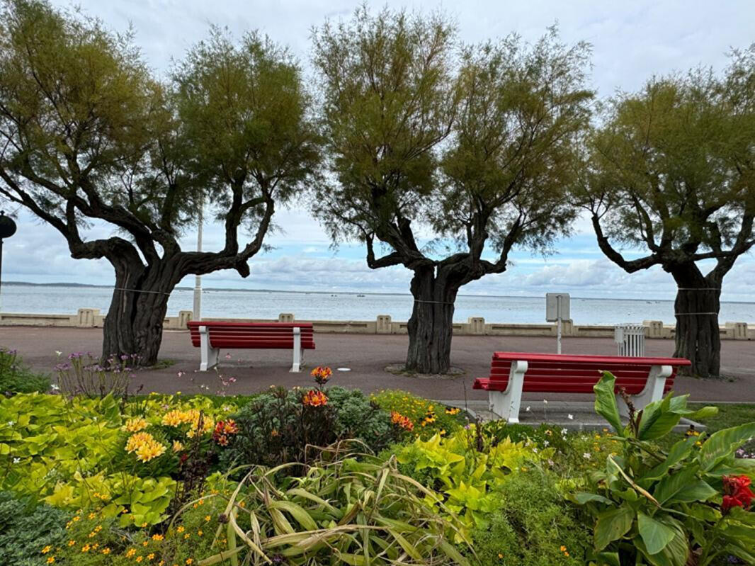 Appartement Arcachon