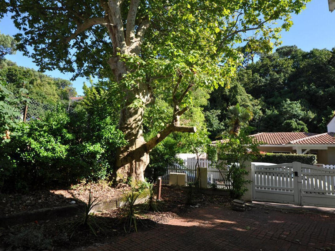 Maison Arcachon