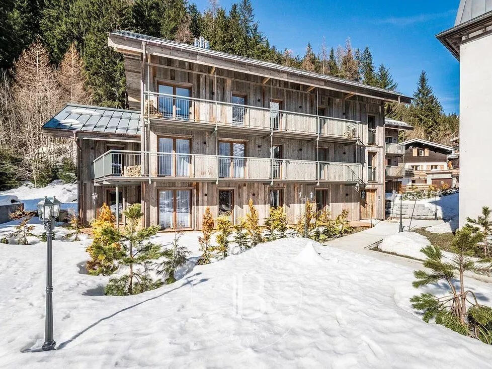 Appartement Argentiere