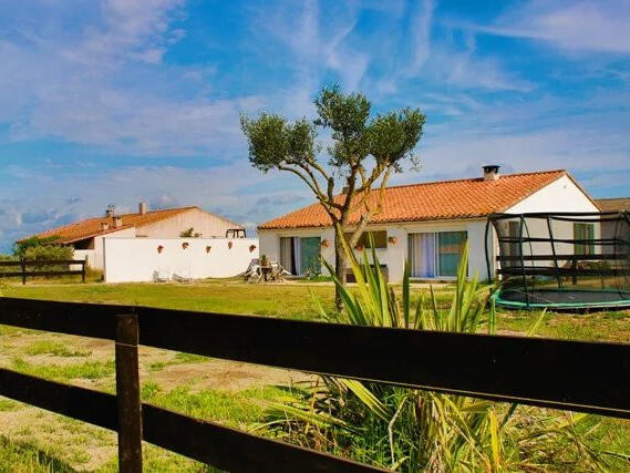 House Arles - 4 bedrooms - 240m²