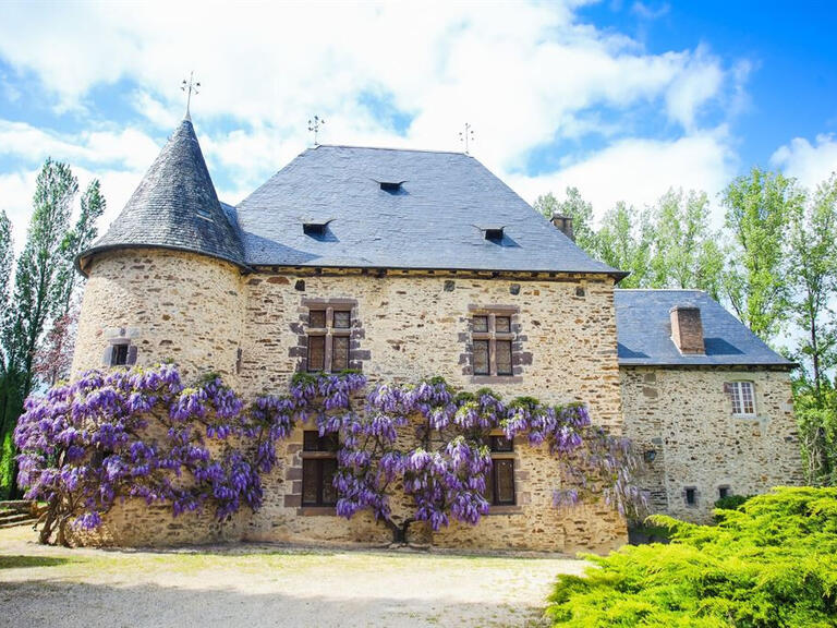 Château Arnac-Pompadour - 10 chambres - 800m²