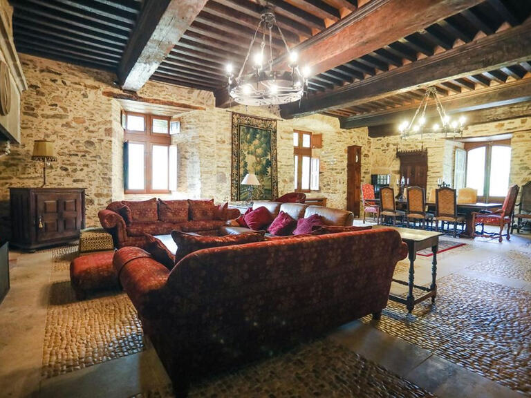 Castle Arnac-Pompadour - 10 bedrooms - 800m²