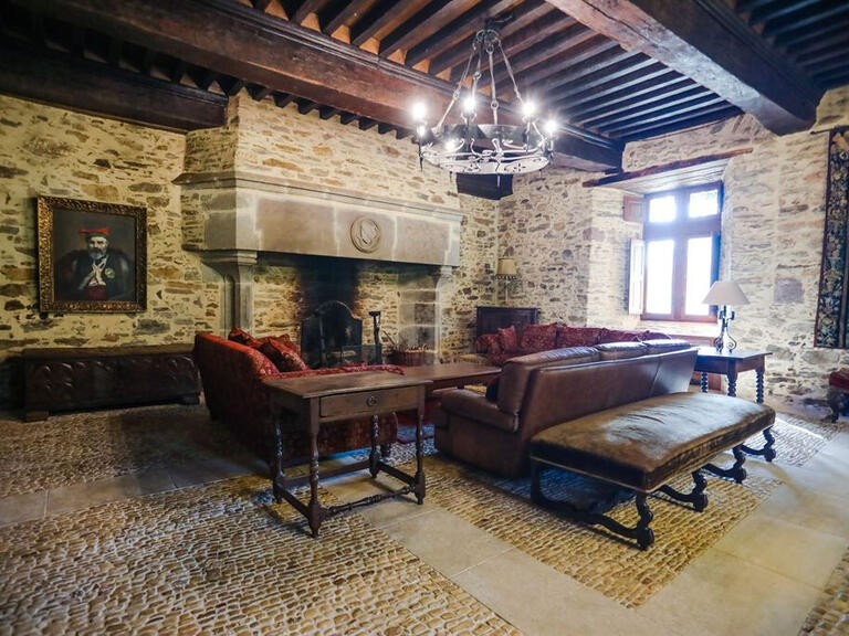 Castle Arnac-Pompadour - 10 bedrooms - 800m²