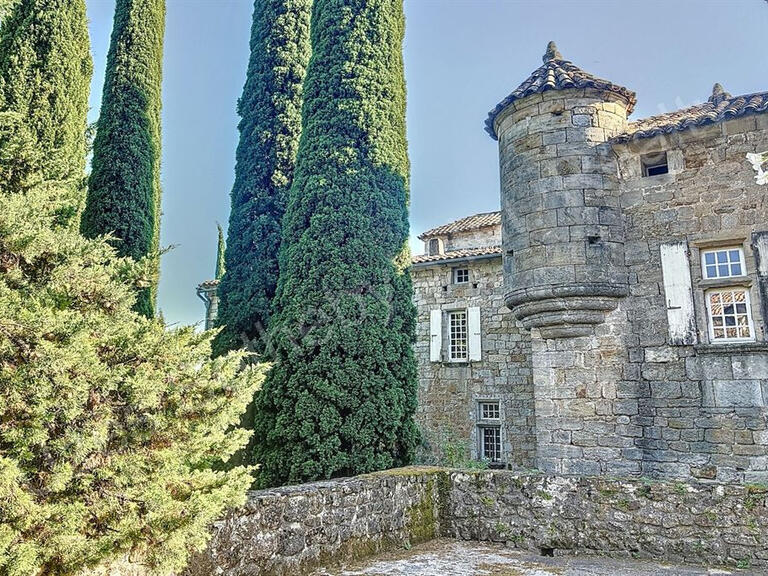 Château Aubenas - 9 chambres - 650m²