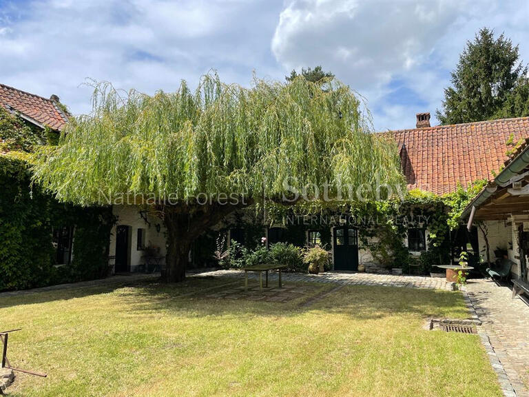 House Auchy-lez-Orchies - 4 bedrooms - 558m²