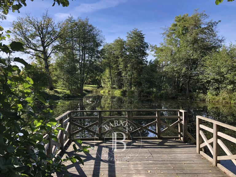 Vente Propriété Auxerre - 10 chambres