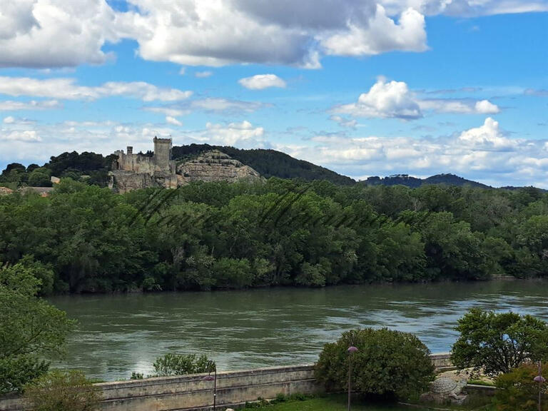 Hôtel particulier Avignon - 17 chambres - 750m²