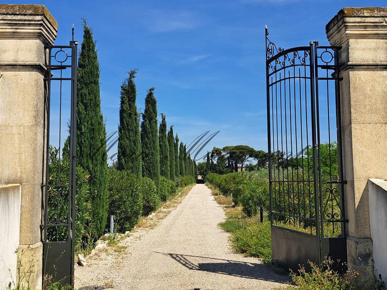 Vente Maison Avignon - 13 chambres