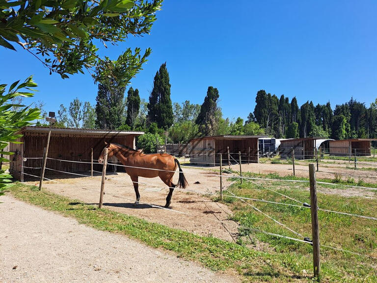 House Avignon - 5 bedrooms - 250m²