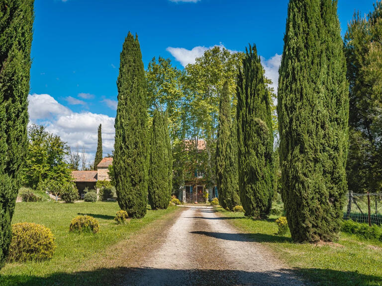 Propriété Avignon - 8 chambres - 700m²