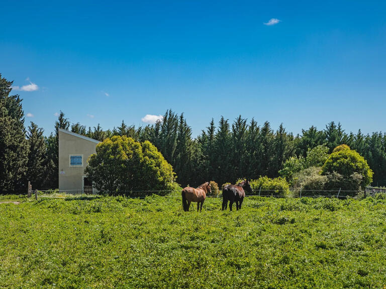 Propriété Avignon - 8 chambres - 700m²