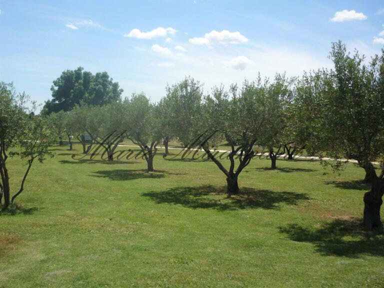 Propriété Avignon - 25 chambres - 2700m²