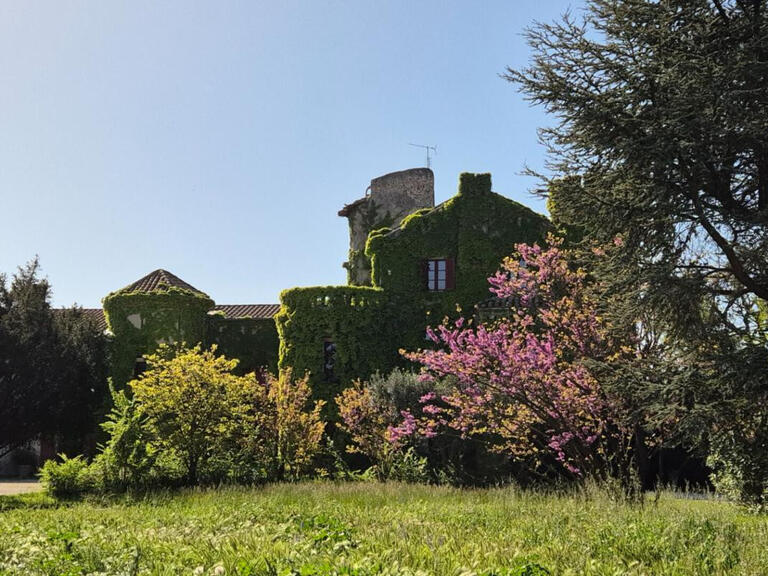 Property Avignon - 8 bedrooms