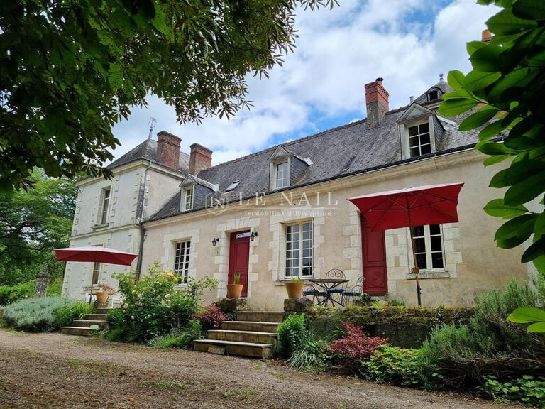 Manor Azay-le-Rideau - 7 bedrooms - 443m²