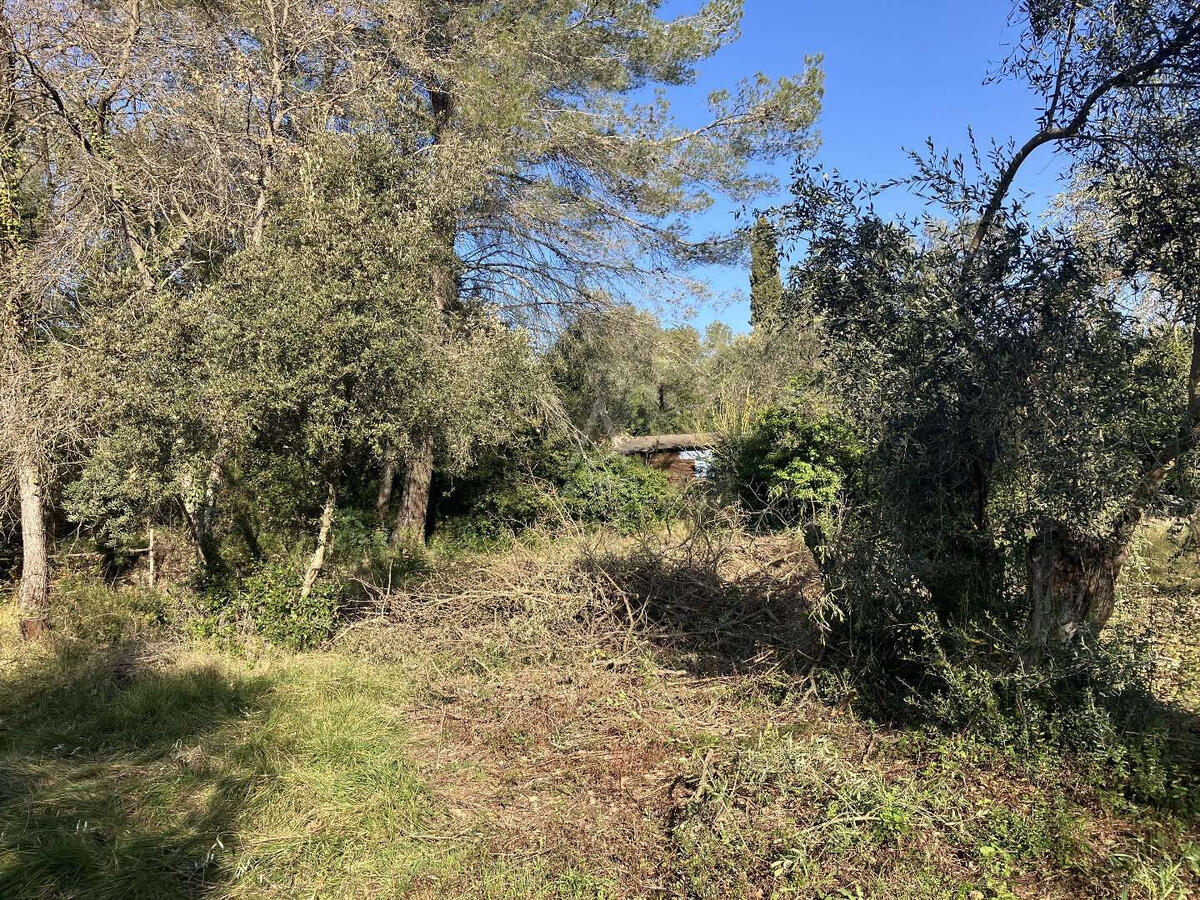 Land Bagnols-en-Forêt