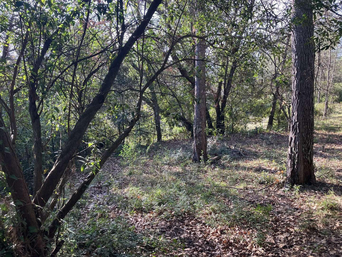 Land Bagnols-en-Forêt