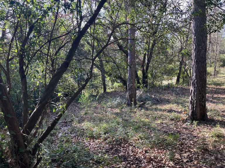 Terrain Bagnols-en-Forêt