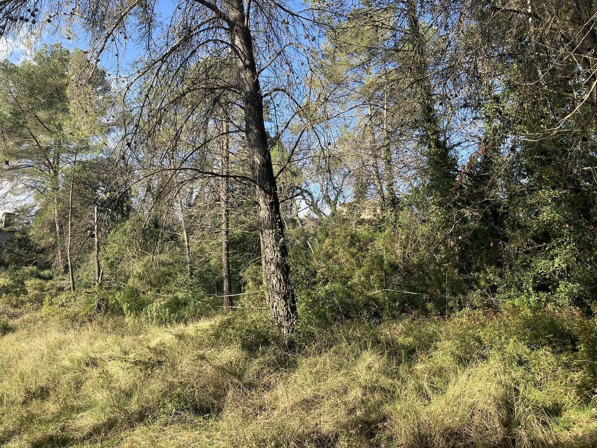 Land Bagnols-en-Forêt