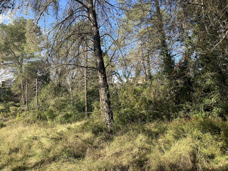 Terrain Bagnols-en-Forêt