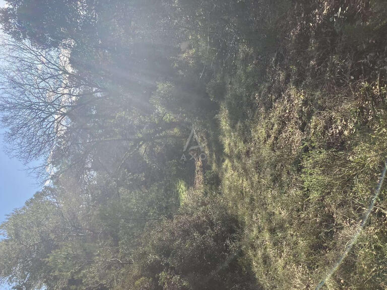 Terrain Bagnols-en-Forêt