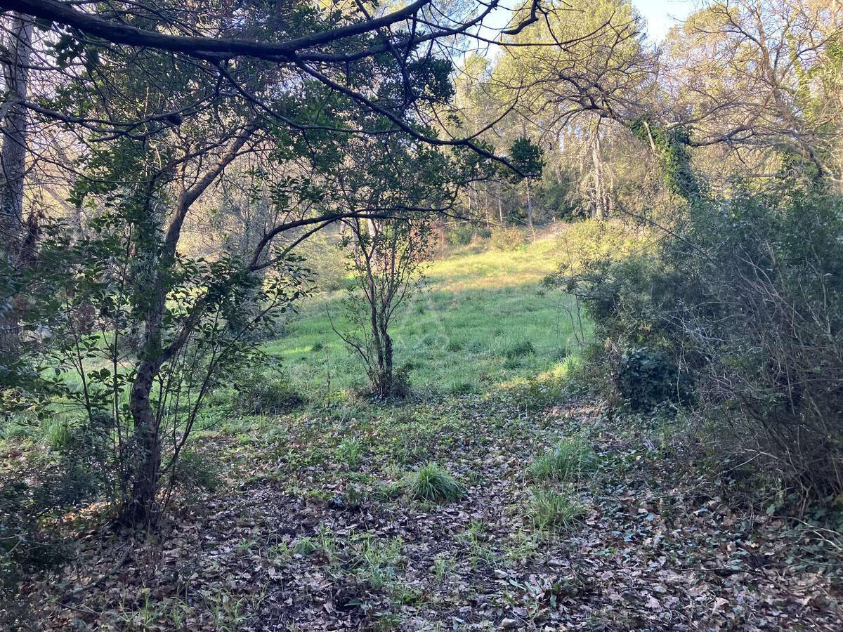 Land Bagnols-en-Forêt