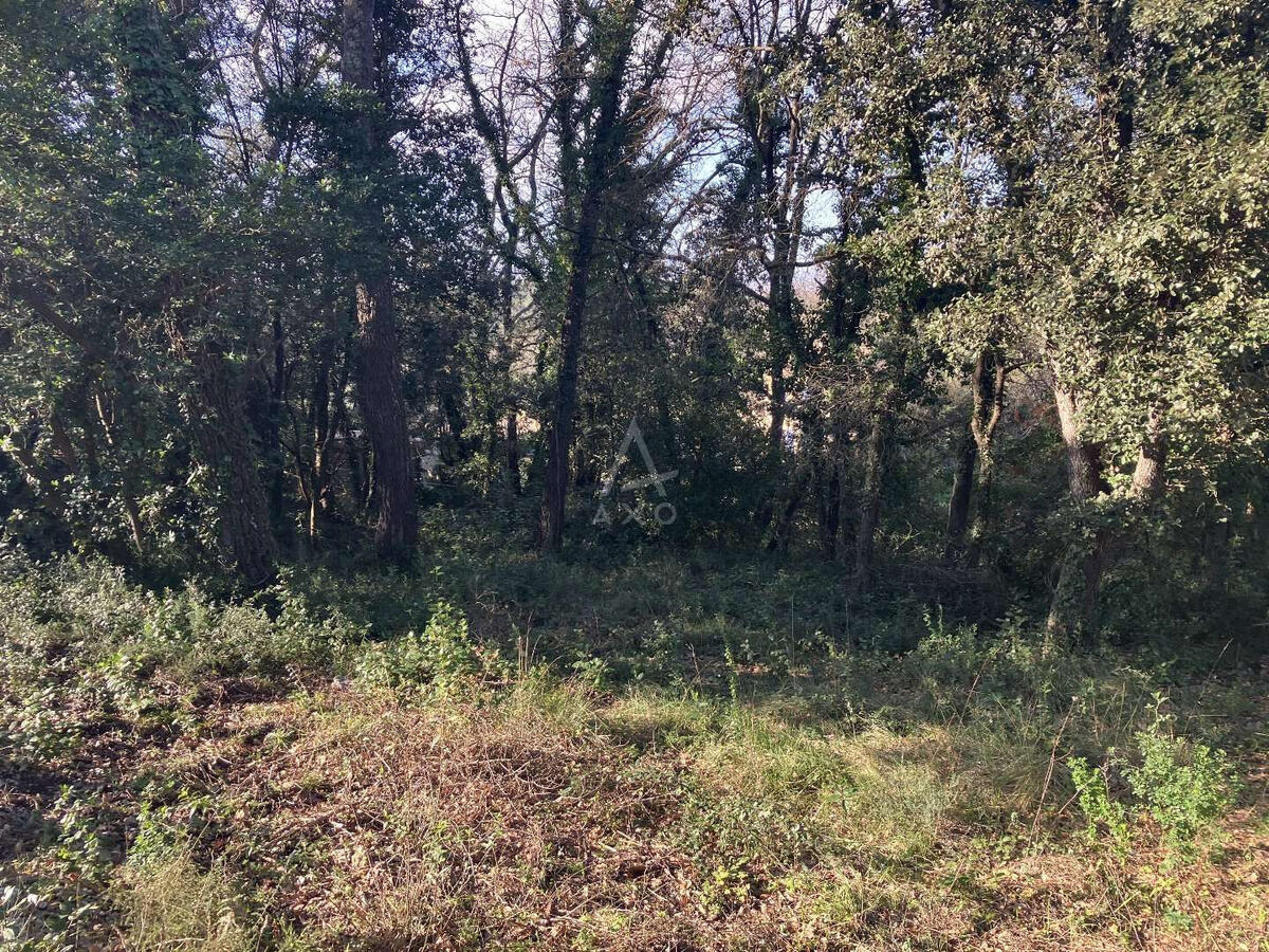 Land Bagnols-en-Forêt