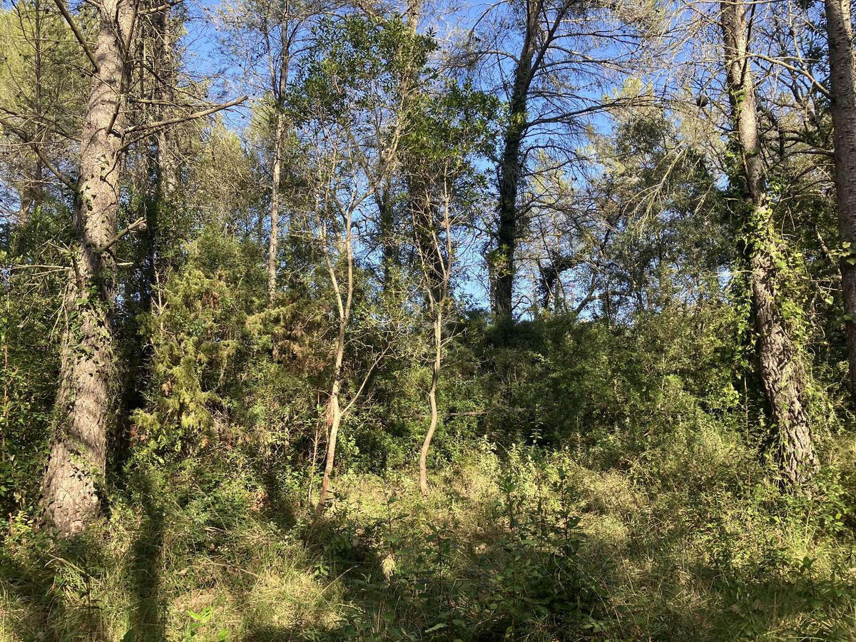 Land Bagnols-en-Forêt