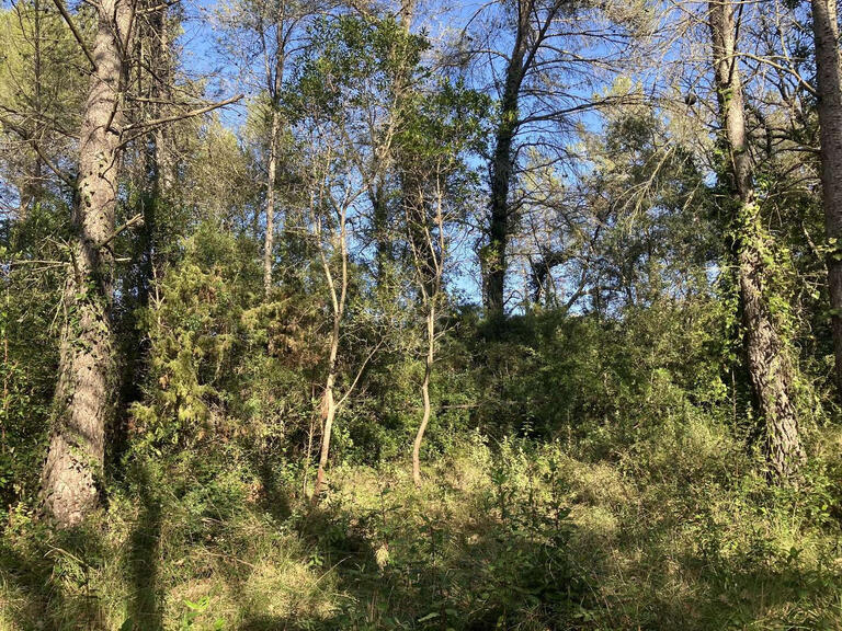 Terrain Bagnols-en-Forêt