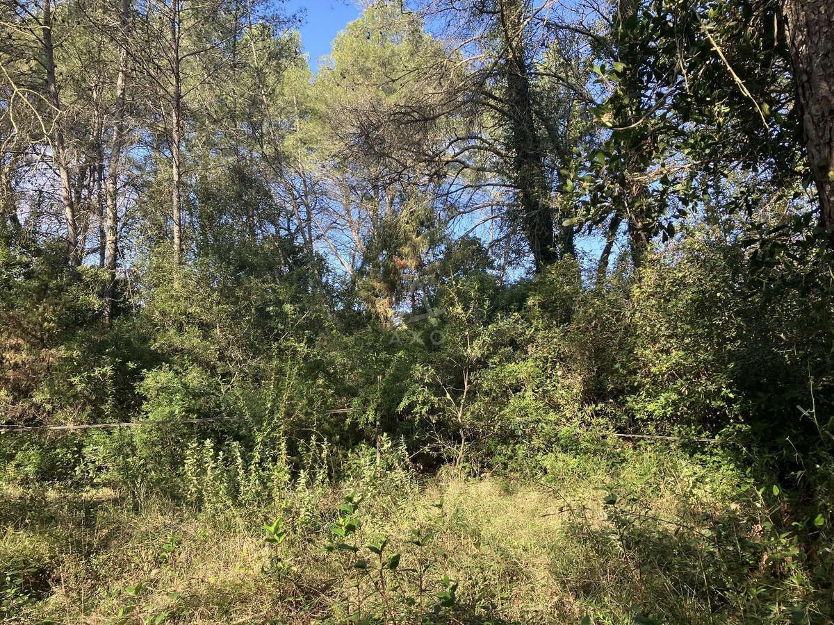 Land Bagnols-en-Forêt