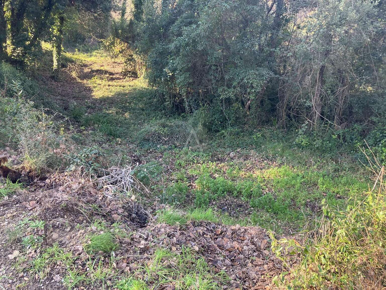 Terrain Bagnols-en-Forêt