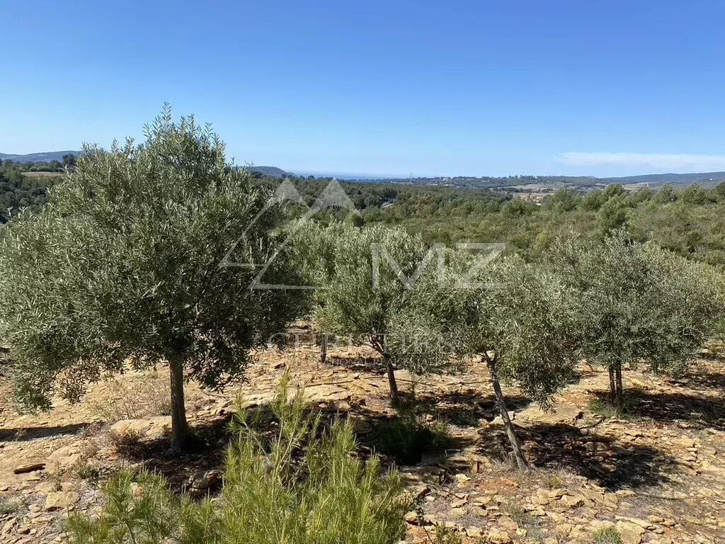 Domaine viticole Bandol