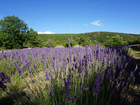 Propriété Banon