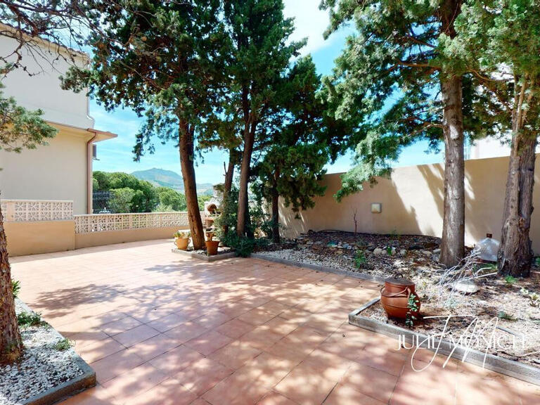 Apartment Banyuls-sur-Mer - 3 bedrooms