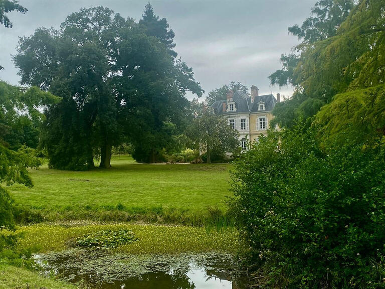 Vente Château Baugé-en-Anjou