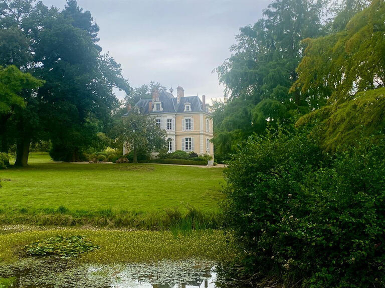 Vente Château Baugé-en-Anjou