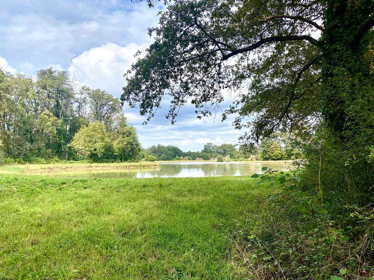 Vente Château Baugé-en-Anjou