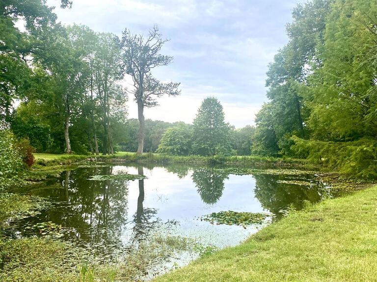 Vente Château Baugé-en-Anjou