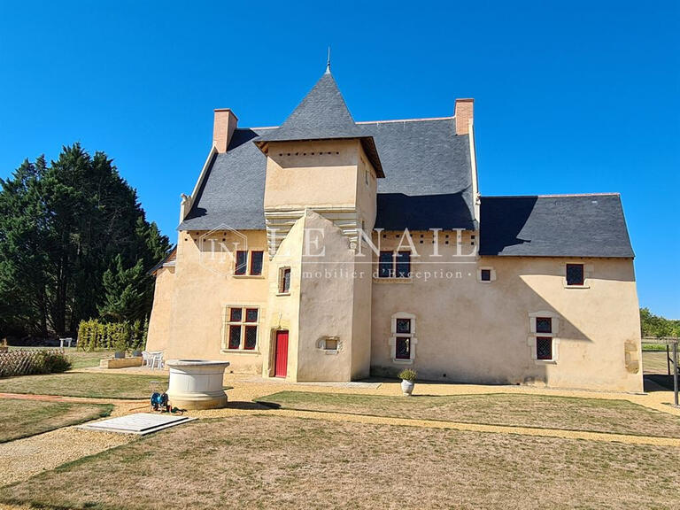 Vente Manoir Baugé-en-Anjou - 5 chambres