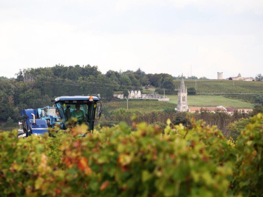 Propriété Bayon-sur-Gironde