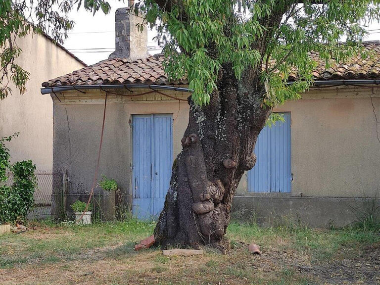 Propriété Bayon-sur-Gironde - 4 chambres