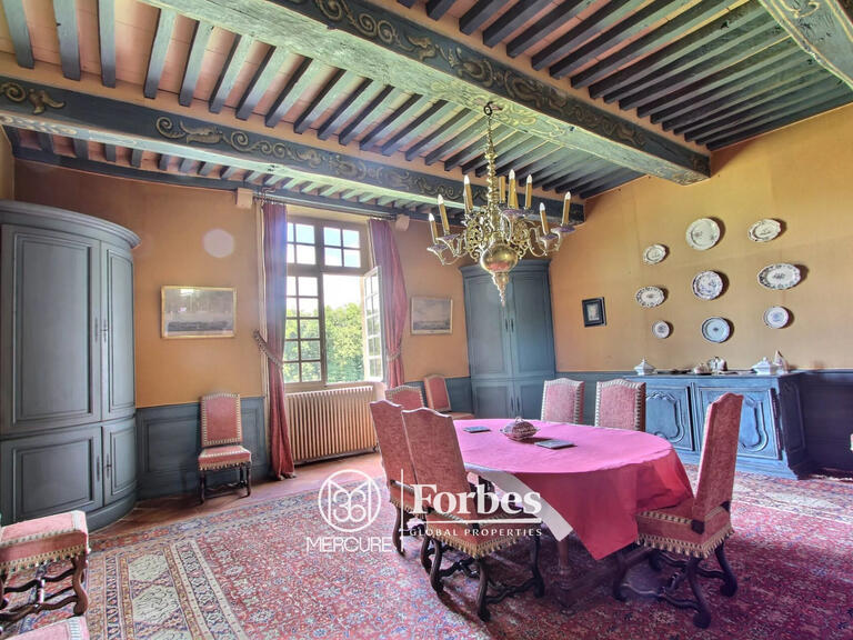 Castle Bazas - 5 bedrooms - 1000m²