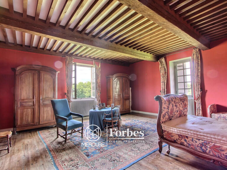 Castle Bazas - 5 bedrooms - 1000m²