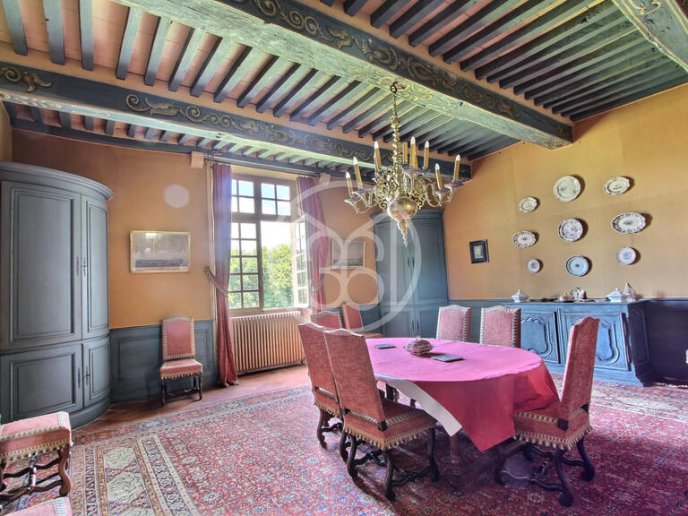 Castle Bazas - 5 bedrooms - 1000m²