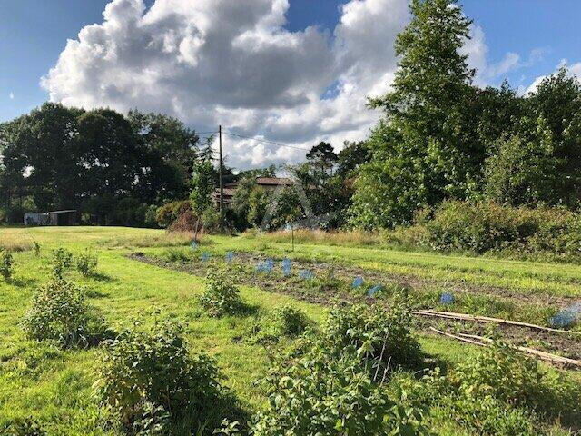 Propriété Bazas