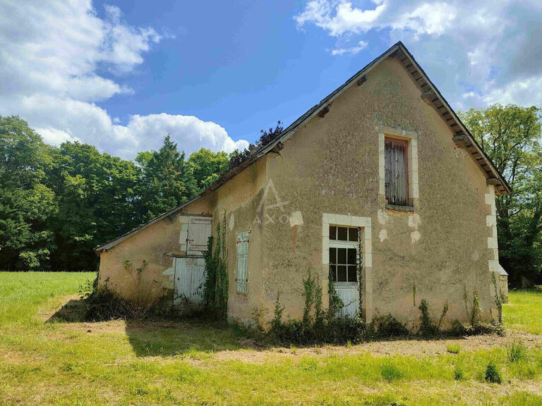 House Bazouges-Cré-sur-Loir