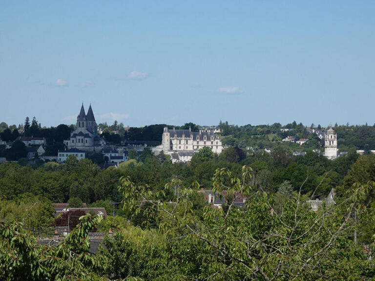 Propriété Beaulieu-lès-Loches - 7 chambres