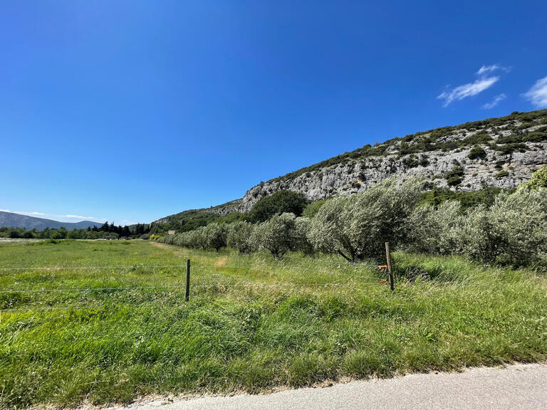 Maison Beaumont-du-Ventoux - 8 chambres - 345m²