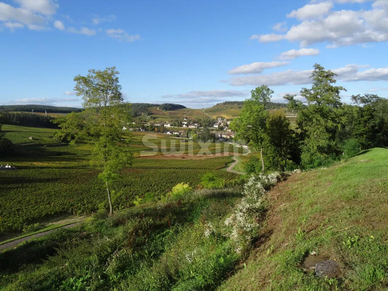 Vente Maison Beaune - 5 chambres