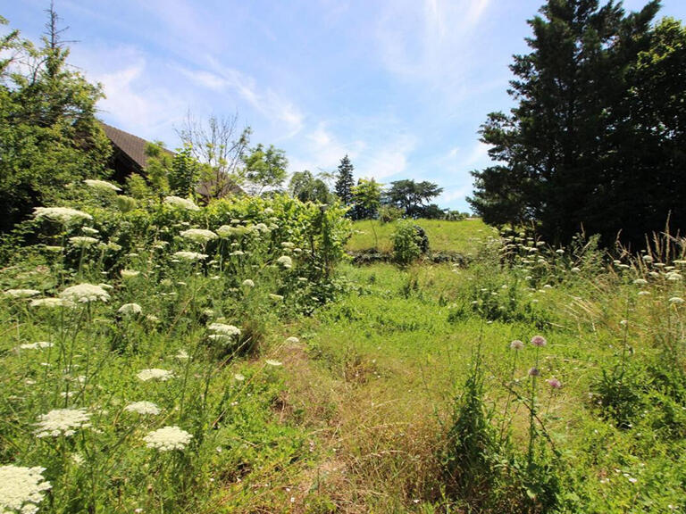 Terrain Beaune